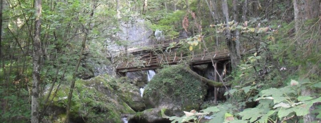 Ein schmaler Bach fließt durch einen bewaldeten Abschnitt mit großen Felsen und einer Holzbrücke in naturnaher Umgebung.