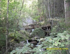Ein schmaler Bach fließt durch einen bewaldeten Abschnitt mit großen Felsen und einer Holzbrücke in naturnaher Umgebung.