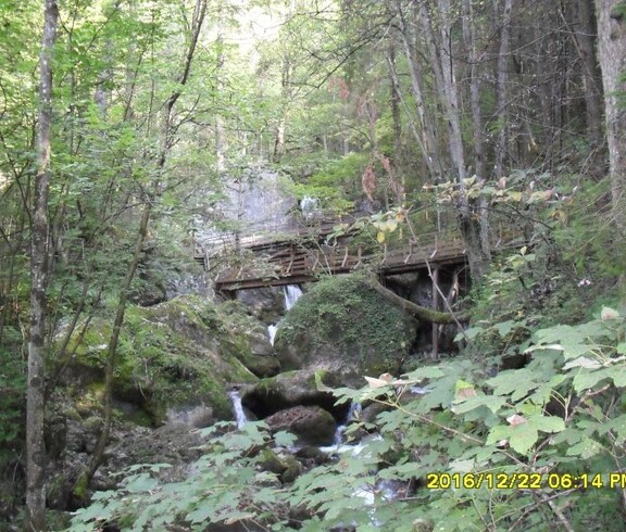 Ein schmaler Bach fließt durch einen bewaldeten Abschnitt mit großen Felsen und einer Holzbrücke in naturnaher Umgebung.