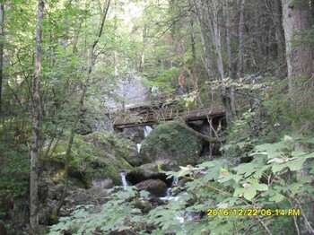 Ein schmaler Bach fließt durch einen bewaldeten Abschnitt mit großen Felsen und einer Holzbrücke in naturnaher Umgebung.