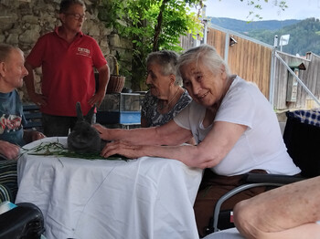 Bewohner*in sitzt am Tisch und streichelt während der Tiertherapie ein Kaninchen auf Gras.