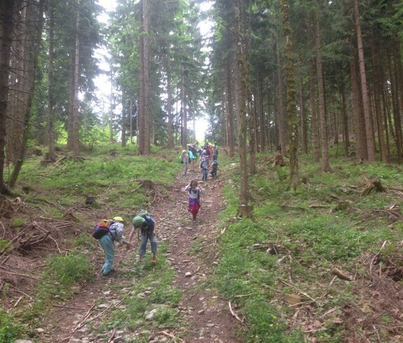 Kinder erkunden während einer Projektwoche einen Waldweg, sammeln Naturmaterialien und erleben gemeinsam die Umgebung im Freien.