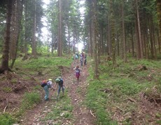 Kinder erkunden während einer Projektwoche einen Waldweg, sammeln Naturmaterialien und erleben gemeinsam die Umgebung im Freien.