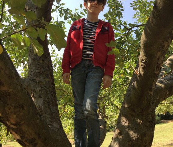 Ein Kind steht zwischen den Ästen eines Obstbaums im Freien und erkundet die Natur bei einer gemeinsamen Outdoor-Aktivität.