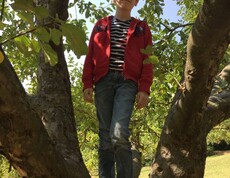 Ein Kind steht zwischen den Ästen eines Obstbaums im Freien und erkundet die Natur bei einer gemeinsamen Outdoor-Aktivität.