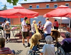 Bewohnerinnen und Bewohner des Pflegewohnhauses versammeln sich im Innenhof um zwei Alpakas, die von ihren Begleitpersonen durch die Gruppe geführt werden.