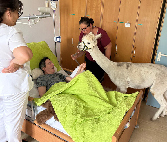 Ein Alpaka steht am Bett eines Bewohners, der freudig reagiert; zwei Pflegekräfte begleiten die Szene