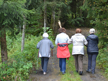 Vier Seniorinnen laufen auf einem Waldweg. Sie wurden von hinten fotografiert. 