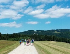Kindergruppe wandert auf einem breiten Weg durch eine hügelige Landschaft und erkundet während der Projektwoche die Natur.