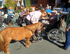 Pony Maxi steht im Innenhof des Pflegewohnhauses zwischen mehreren Bewohnerinnen und Bewohnern, die das kleine Pony aus nächster Nähe beobachten und streicheln.