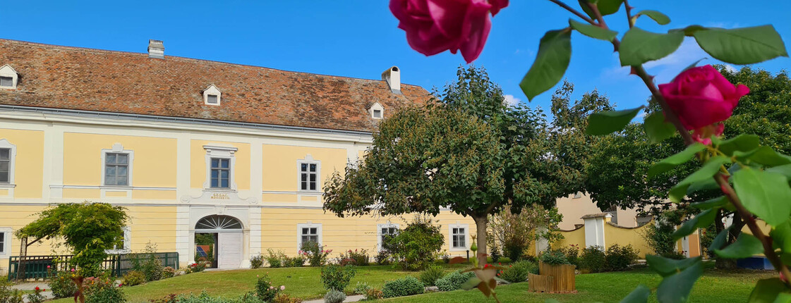 Im Vordergrund sind blühende pinke Rosen in einem Garten zu sehen, im Hintergrund ein schöner großer Hof, dessen Wandfarbe gelb ist.