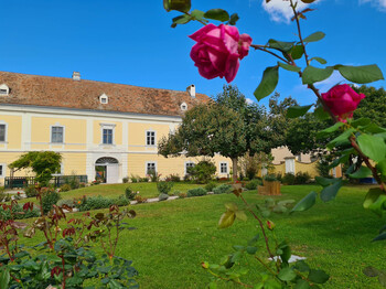Im Vordergrund sind blühende pinke Rosen in einem Garten zu sehen, im Hintergrund ein schöner großer Hof, dessen Wandfarbe gelb ist.