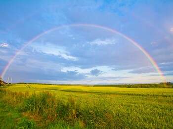 Ein farbenreicher Regenbogen spannt sich über eine weite Feldlandschaft unter einem wolkenverhangenen Himmel. Die Aufnahme vermittelt Ruhe und Weite.