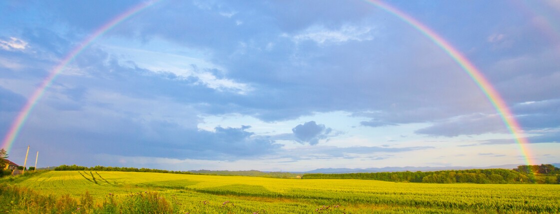 Ein farbenreicher Regenbogen spannt sich über eine weite Feldlandschaft unter einem wolkenverhangenen Himmel. Die Aufnahme vermittelt Ruhe und Weite.