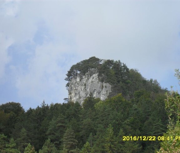 Eine markante Felsformation ragt über einen dichten Wald hinaus und prägt die naturnahe Berglandschaft der Umgebung.