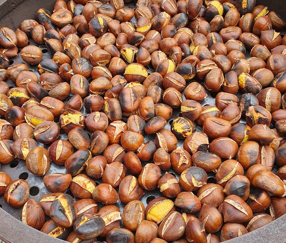 In einer großen runden Bratpfanne liegen zahlreiche aufgeschnittene und geröstete Maroni, deren braune Schalen und goldgelbe Kerne sichtbar sind.
