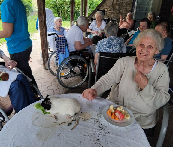 Mehrere Bewohner*innen sitzen im Gartenbereich und erleben Tiertherapie mit Meerschweinchen.