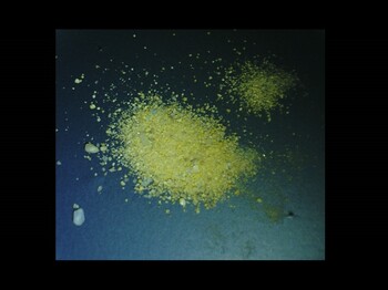 Dieses Bild zeigt ein gelb-oranges Pulver mit Kristallen darin.