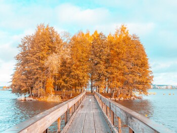 Ein Holzsteg führt über das Wasser zu einer kleinen, von Bäumen umgebenen Insel. Die Aufnahme vermittelt Ruhe, Rückzug und Besinnung.