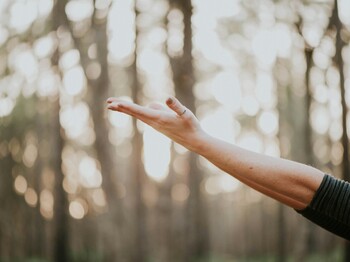 Eine Frau streckt einen Arm seitlich aus, im Hintergrund ist ein sonnendurchfluteter Wald zu sehen. Die Szene vermittelt ein Gefühl von Freiheit und Leichtigkeit.