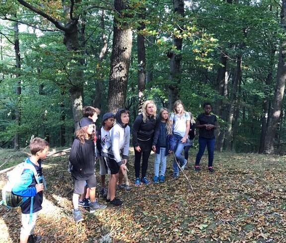 Kinder stehen gemeinsam auf einer Lichtung im Wald und nehmen an einer Natur- und Teamaktivität mit spielerischen Aufgaben teil.