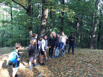 Kinder stehen gemeinsam auf einer Lichtung im Wald und nehmen an einer Natur- und Teamaktivität mit spielerischen Aufgaben teil.