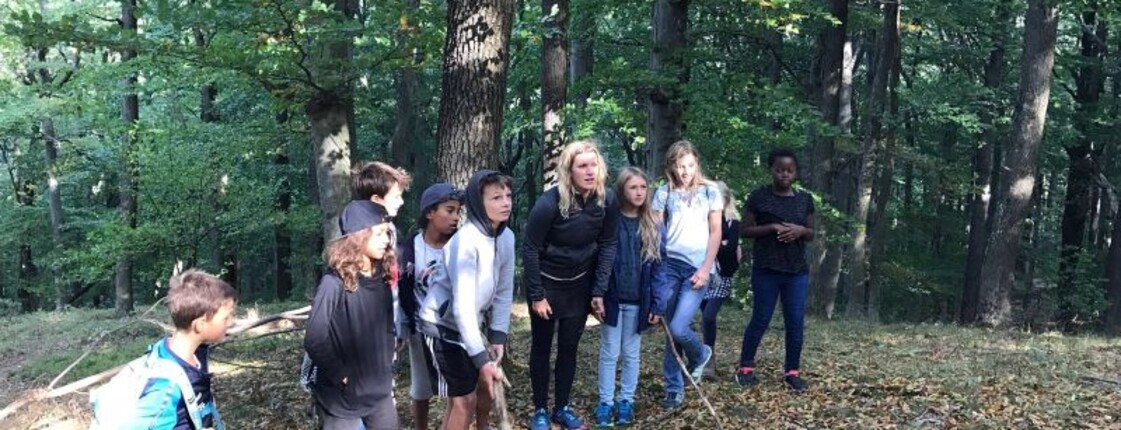 Kinder stehen gemeinsam auf einer Lichtung im Wald und nehmen an einer Natur- und Teamaktivität mit spielerischen Aufgaben teil.