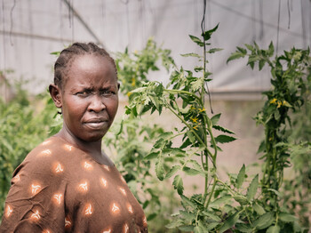 Eine Südsudanesin steht zwischen Tomatenpflanzen in einem Gewächshaus