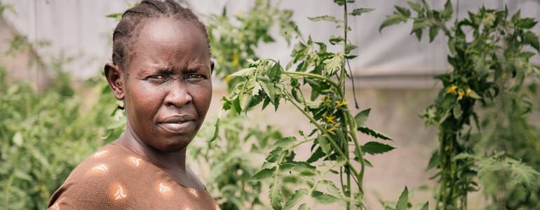 Eine Südsudanesin steht zwischen Tomatenpflanzen in einem Gewächshaus