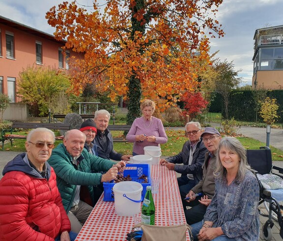An einem Tisch, im Garten des Pflegewohnhauses, sitzen mehrere Personen – darunter Bewohner sowie freiwillige Mitarbeiterinnen und Mitarbeiter. Gemeinsam bereiten sie Maroni für das Braten vor, indem sie die Schalen sorgfältig einschneiden.