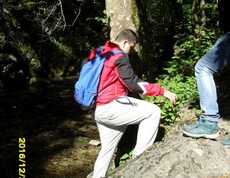 Eine Person erkundet einen Bachlauf im Wald und bewegt sich zwischen Felsen, Bäumen und naturnahen Wegen entlang des Ufers.