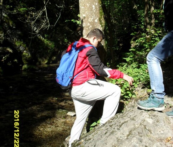 Eine Person erkundet einen Bachlauf im Wald und bewegt sich zwischen Felsen, Bäumen und naturnahen Wegen entlang des Ufers.