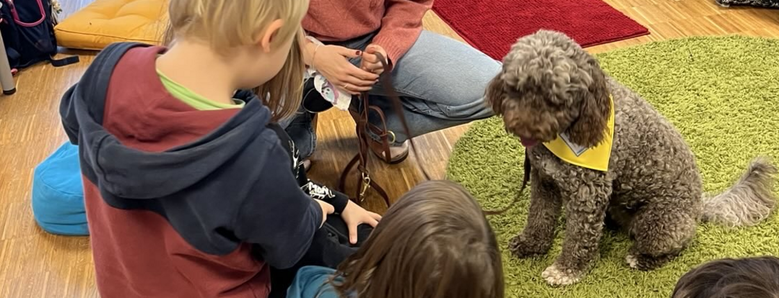 Kinder sitzen gemeinsam mit einem Therapiehund im Klassenraum. Die Begegnung fördert Aufmerksamkeit, soziale Kompetenzen und Vertrauen.