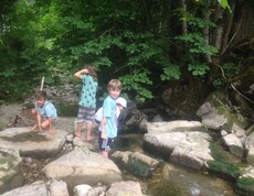 Kinder erkunden während einer Projektwoche einen Bachlauf im Wald und balancieren auf großen Steinen entlang des Wassers.