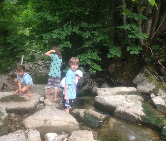 Kinder erkunden während einer Projektwoche einen Bachlauf im Wald und balancieren auf großen Steinen entlang des Wassers.