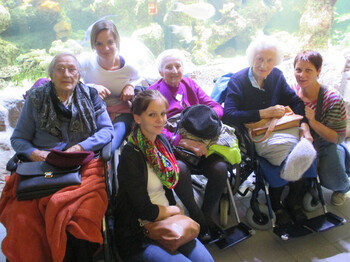 Bewohnerinnen und Mitarbeiterinnen vor einem Aquarium im Haus des Meeres