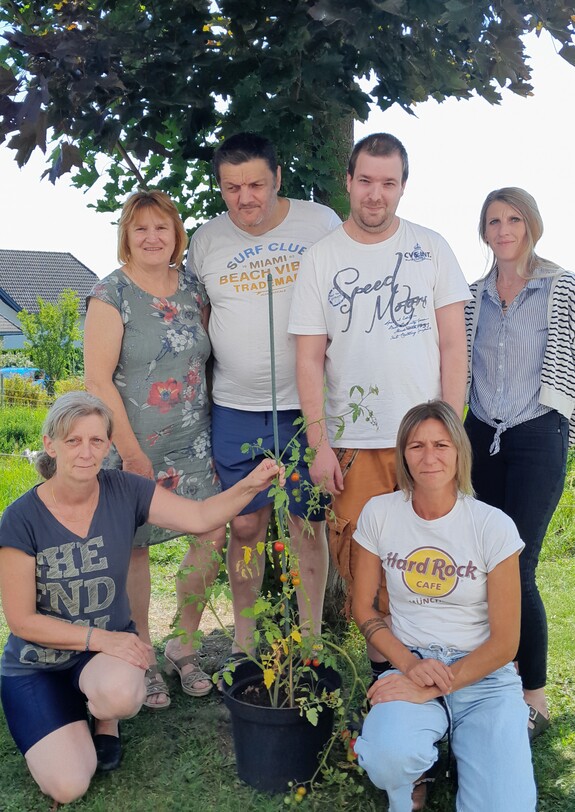 zwei Männer und zwei Frauen stehen vor einem Baum zwei weitere Frauen knien davon und haben dazwichen eine Tomatenstaude..