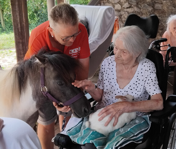 Bewohner*in im Rollstuhl streichelt ein Mini-Pony; ein weißer Hase liegt auf dem Schoß.