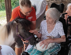 Bewohner*in im Rollstuhl streichelt ein Mini-Pony; ein weißer Hase liegt auf dem Schoß.