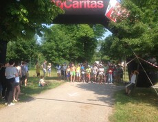 Kinder versammeln sich mit Rollern unter einem Startbogen im Park und bereiten sich gemeinsam auf den Beginn einer Sportveranstaltung vor.
