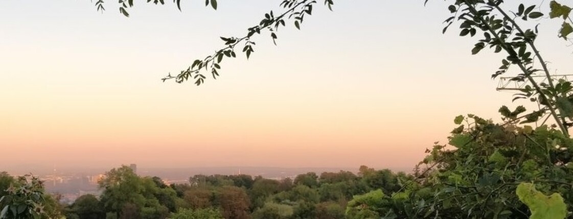 Ein rötlicher Himmel durch den Sonnenuntergang.