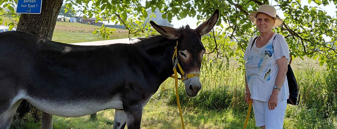 Frau und Esel in der Natur
