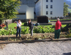 Mondelez Mitarbeiter und Menschen mit Beeinträchtigung arbeiten im Garten der Werkstätte Bludenz.  