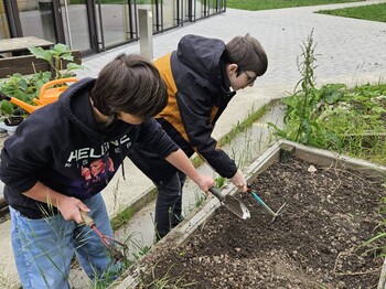 Zwei Kinder lockern die Erde in einem Hochbeet mit Gartenwerkzeugen auf. Das gemeinsame Gärtnern fördert Naturerfahrung und Verantwortung.