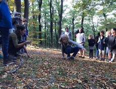 Kinder nehmen im Wald an einer gemeinsamen Naturaktivität teil, während ein Kind eine Bewegungsausgabe auf einem mit Blättern bedeckten Boden ausführt.