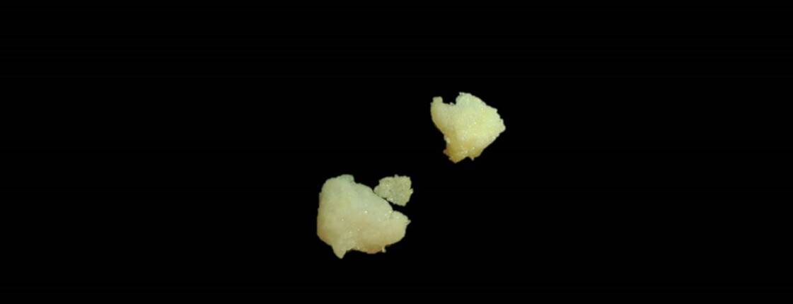 Falschdeklarierte 4-CMC Probe