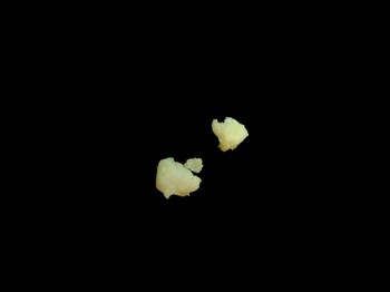Falschdeklarierte 4-CMC Probe