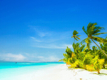 Eine Insel mit weißem Sand und Palmen vor kristallklarem Meereswasser und strahlend blauem Himmel.