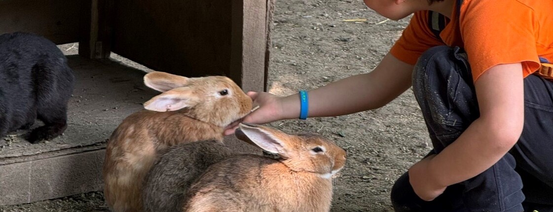 Kind hockt vor mehreren Kaninchen in einem Gehege und streichelt die Tiere. Die Begegnung fördert Naturerfahrungen und den achtsamen Umgang mit Tieren.